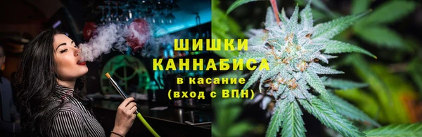 трава Аркадак