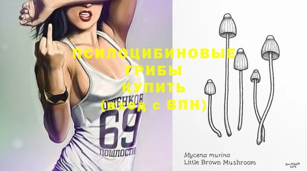 эйфоретик Арсеньев