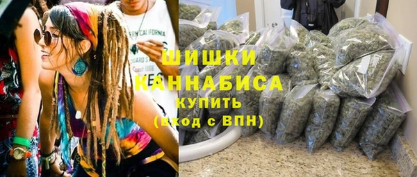эйфоретик Арсеньев