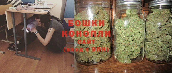 трава Аркадак