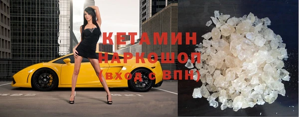 трава Аркадак